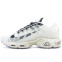 Кроссовки мужские Nike Air Max TN Plus Terrascape Sail Sea Glass